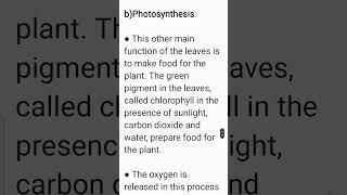 What is the function of leaf Class 6 Science Chapter 7 [upl. by Ahsinrats828]