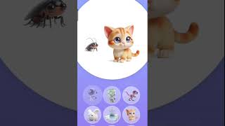 Cockroach 🪳  Kitten 🐈  KITTERBUG 💥  animash animalfusion [upl. by Custer]