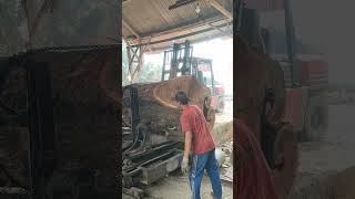 Alat berat sangat penting sawmill wood [upl. by Utter]