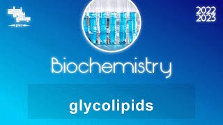 glycolipids part 2 biochemistry [upl. by Mailli]