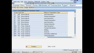 sap trm foreign exchange configuration  flow types and product types [upl. by Sido]