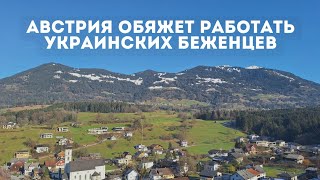 Австрия обяжет работать украинских беженцев [upl. by Martelli]