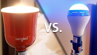 Sengled Pulse vs Playbulb Color  Smart Speaker Lightbulbs [upl. by Nilya]