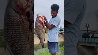 Big fish shortvideo telugu fishing video big fish 🐠🐠🐠🐟 [upl. by Lucian]