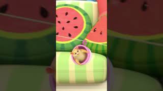 Happy Hamster Tricks with Jellybean cocomelon shorts animalsforkids [upl. by Ahseid64]