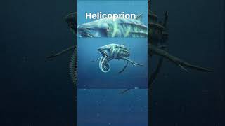 Helicoprion [upl. by Baillieu474]