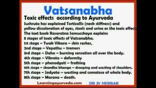 Vatsanabha  Benefits Purification Uses Toxic Effects Dose As Per Ayurveda [upl. by Enoid298]