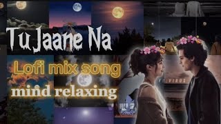 Tu Jaane Na lofi song Mood fresh song mind relaxing tujaanenalofi tujaanenaslowedandreverbyoutube [upl. by Ralat766]