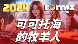 可可托海的牧羊人  王琪【DJ REMIX】『我站在可可托海的湖边，想起你柔情的眼。』【動態歌詞Lyrics】Chinese Dj Remix 2024 [upl. by Anerb]