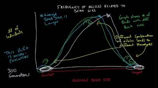 Microevolution and Macroevolution [upl. by Saxen]