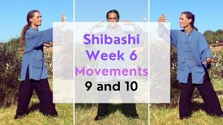 10 Minute Qi Gong Shibashi Week 6 Movements 9 and 10 [upl. by Osbourn911]