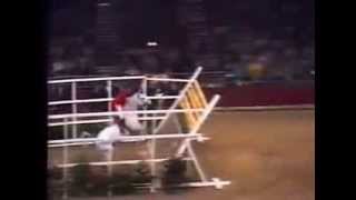 World Record Horse High Jump 2 32 meters [upl. by Ablem]