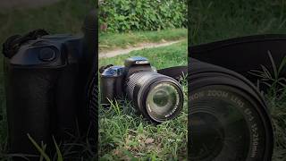 Canon 200D with 55250mm photography Camera dslr canon photography nature shortvideo [upl. by Dovev]