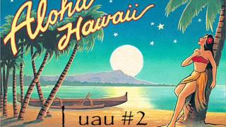 Hawaiian Luau Music 2 [upl. by Tanhya959]