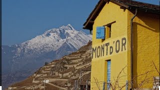 Fête du vacherin MontdOr 🇨🇭 [upl. by Brannon]