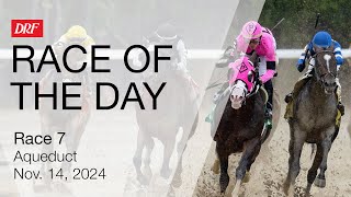 DRF Thursday Race of the Day  Aqueduct Race 7  November 14 2024 [upl. by Rene]