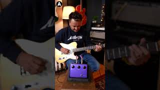 Tube Screamer vs Klon guitarpedals guitar pedals [upl. by Naihr]