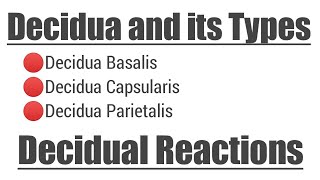 Decidua and its Types  Decidual Reactions [upl. by Plumbo]