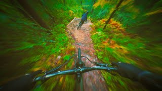 The GNARLIEST Slovenia Trails in the WET🌧️ 4k [upl. by Ayikahs]