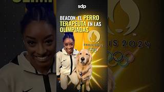 BEACON el PERRO TERAPEUTA 🐶 de gimnastas de ESTADOS UNIDOS en Juegos Olímpicos de París 2024 🇫🇷 [upl. by Aicined876]