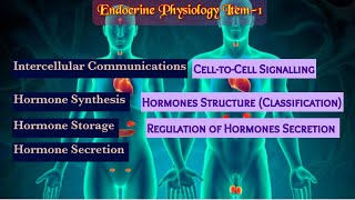 Intercellular Communications  Hormone ClassificationSynthesis Secretion EliminationRegulation [upl. by Hopper]