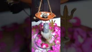 Waste Rangoli Flower Back Flow Dhoop 🌼🌸 shorts diy ytshorts craft homedecor CreativeShriya [upl. by Wickner]