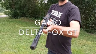 Gamo Delta Fox gt [upl. by Atsok]