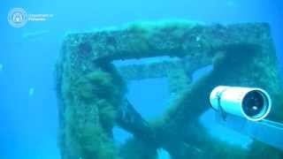 Underwater video of Dunsborough artificial reef [upl. by Bowler]