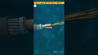 इन्टरनेट केबल को समुद्र में कैसे बिछाया जाता है  internet cable in sea  internet shorts [upl. by Inwat]