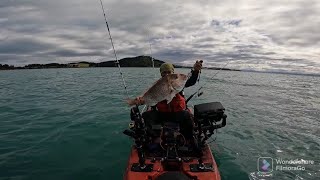 fishing at kawakawa bay nzgot a limit [upl. by Oicnaneb]