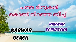 ബീച്ചിൽ നിറയെ മീനുകൾ ചത്തു കിടക്കുന്ന കാഴ്ച  karwar beach Karnataka [upl. by Araccat762]