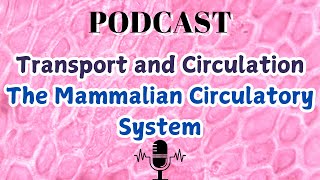 Transport and Circulation The Mammalian Circulatory System [upl. by Rheta]