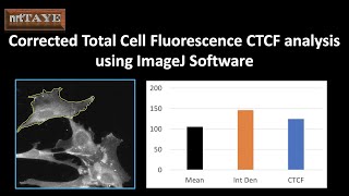 Corrected Total Cell Fluorescence CTCF analysis using ImageJ Software [upl. by Blackmun369]