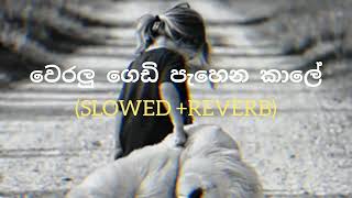 weralu gedi pahena kale Slowed reverb රැට තනියේම අහන්න slowed reverb chamararanawaka song 💝🫣 [upl. by Esiom]