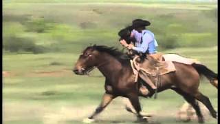 Waggoner Ranch 1994 AQHA Best Remuda Award winner [upl. by Brosy873]