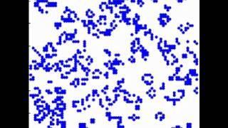 Game of life Matlab [upl. by Peggie]