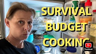 SURVIVAL BUDGET COOKING [upl. by Gaddi]