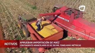 Gobierno autoriza importación de 150 mil toneladas de maíz amarillo [upl. by Meill]