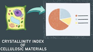 Calculating the crystallinity index CrI of cellulose using Segals Equation [upl. by Eenerb]