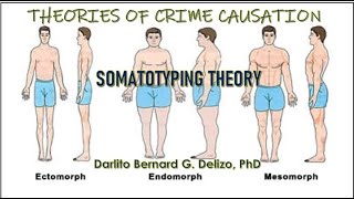 THEORIES OF CRIME CAUSATION Somatotyping Theory [upl. by Yetti723]