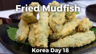 Eating Crispy Mudfish in Namwon South Korea Day 18 [upl. by Elinet890]