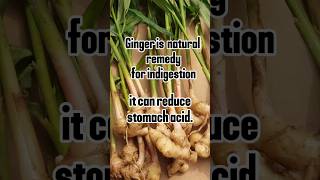 How to get rid of indigestion  home remedy for indigestion shorts viralshort [upl. by Hintze]