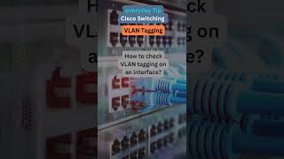 26 Shorts Check VLAN Tagging [upl. by Kosse]