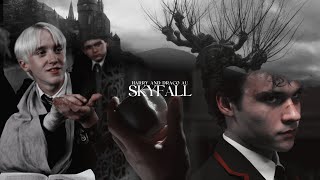 Draco and Harry AU • Skyfall [upl. by Simonetta]