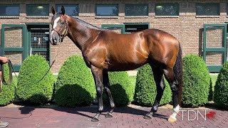 Versatile Racehorse Yoshida Represented by First Yearlings [upl. by Ocicnarf682]