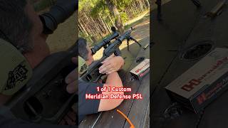 Meridian Defense Custom PSL 762x54r [upl. by Emmalee]