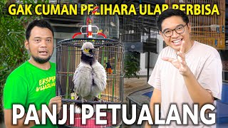 PANJI PETUALANG PUNYA BURUNG LANGKA SEGACOR INI TERNYATA SUKA BANGET BURUNG KICAU [upl. by Ebenezer]