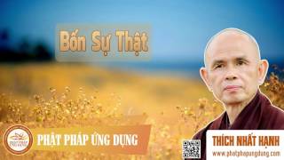 Bốn Sự Thật Tứ Diệu Đế  HT Thiền Sư Thích Nhất Hạnh [upl. by Eitisahc]