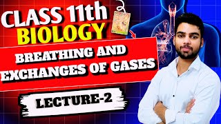 Breathing And Exchange Of Gases Class 11th  NEET2025  CBSE2025 [upl. by Einnij]