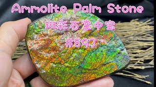 Ammolite Palm Stone Dragon Skin 加拿大斑彩石掌中寶 [upl. by Enyamert]